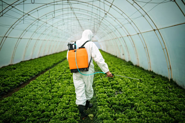 Best Affordable Pest Control Services  in Radcliff, KY