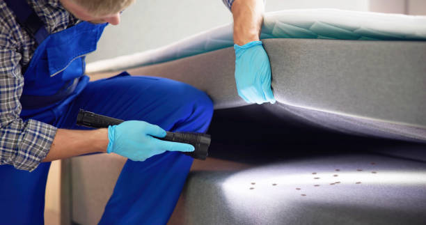 Best Exterminator Services  in Radcliff, KY