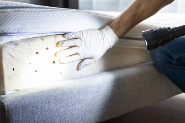 Best Pest Removal Services  in Radcliff, KY