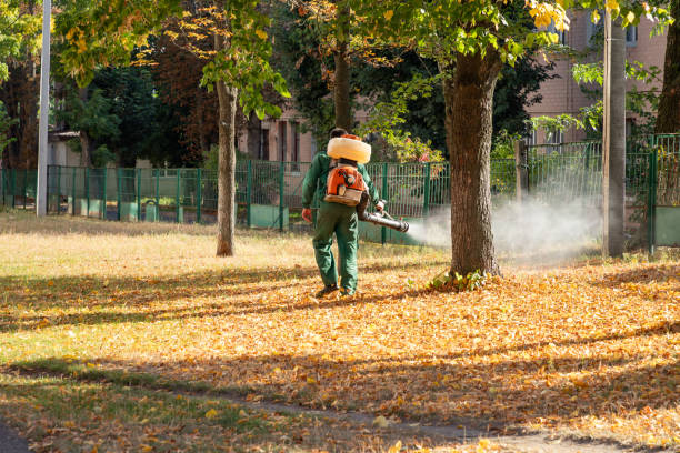 Best Commercial Pest Control Services  in Radcliff, KY