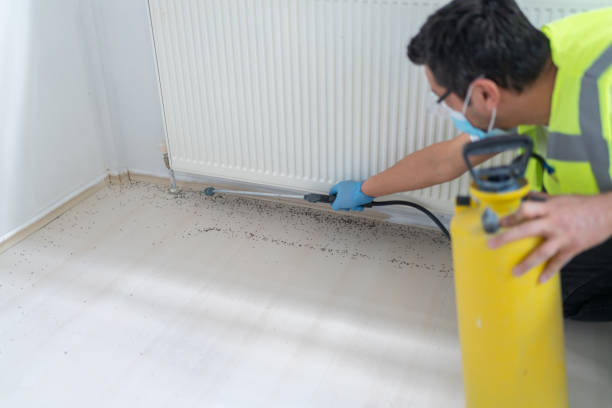 Best Exterminator Services  in Radcliff, KY