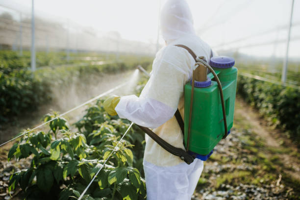 Best Local Pest Control Services  in Radcliff, KY